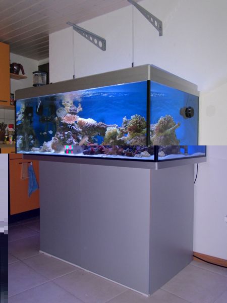 aquarium2.jpg