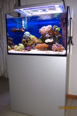 canon sx6.jpg