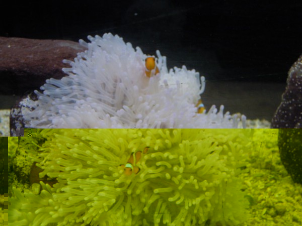 DSCN1138.JPG