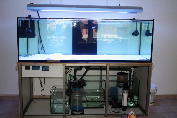 aqua+srimok 001.JPG