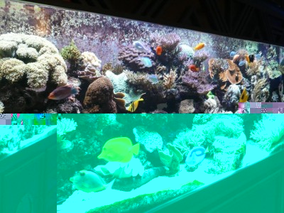 P1030226.JPG (162.26 Kio) Consulté 10563 fois août 2009