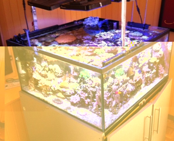 image.jpg (152 Kio) Consulté 76421 fois image.jpg