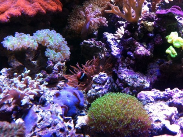 image.jpg (158.97 Kio) Consulté 75145 fois image.jpg