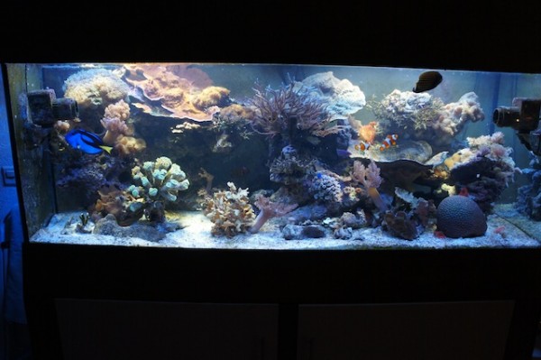 Bac1.jpg (98.63 Kio) Consulté 58827 fois Bac1.jpg