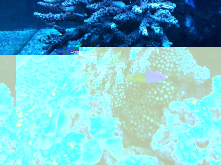 Photo iphone 3 049.jpg