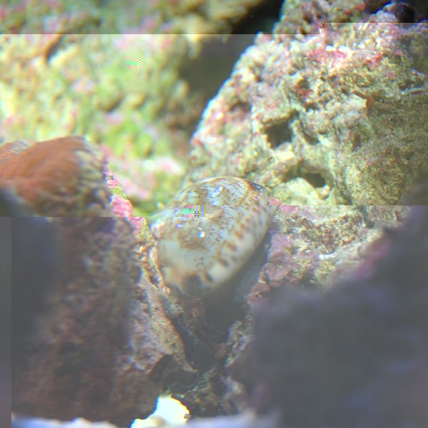 bac photos 3.12.09 bac 3 012.jpg bon.jpg (131.71 Kio) Consulté 9010 fois bac photos 3.12.09 bac 3 012.jpg bon.jpg