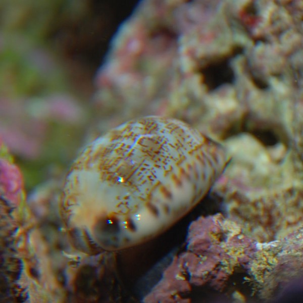 bac photos 3.12.09 bac 3 015.jpg bon.jpg (109.33 Kio) Consulté 9010 fois bac photos 3.12.09 bac 3 015.jpg bon.jpg