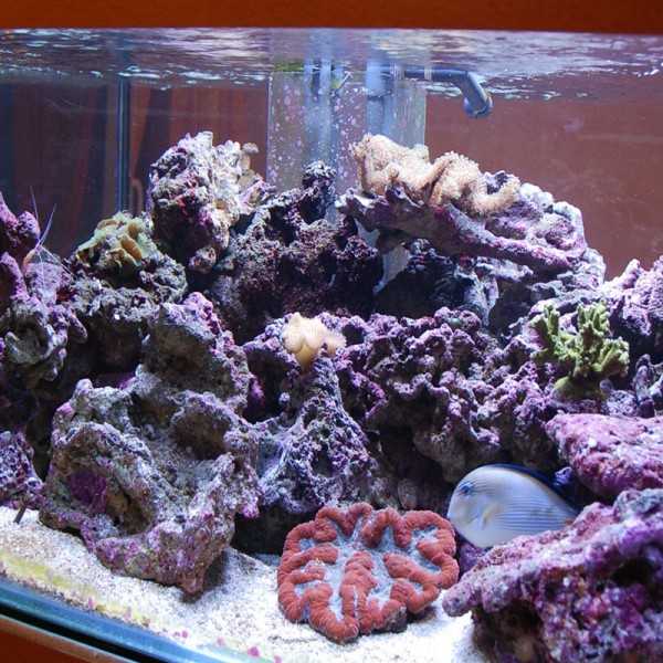 bac photos 3.12.09 bac 3 048.jpg bon.jpg (260.11 Kio) Consulté 8965 fois bac photos 3.12.09 bac 3 048.jpg bon.jpg